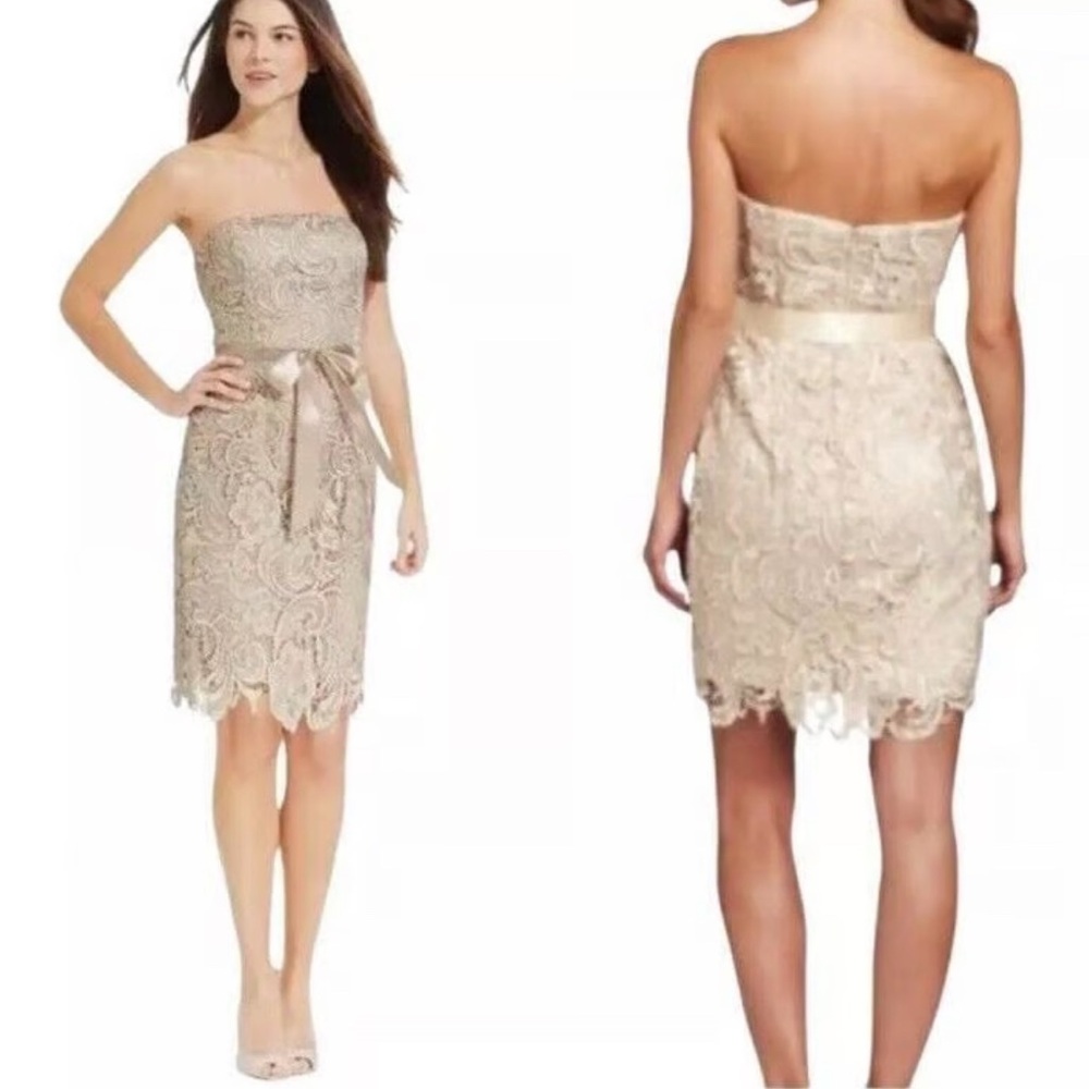 Adrianna Papell- Strapless, Laced Cocktail  Dress- Sz 4 - Picture 2 of 8